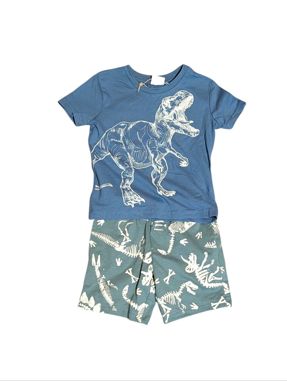 Lily & Dan Dinosaur Shorts Pajama Set